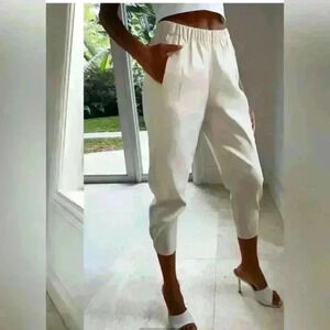Babaton Aritzia Dexter Lightweight  Linen Pant Light Gray Trousers size XS‎